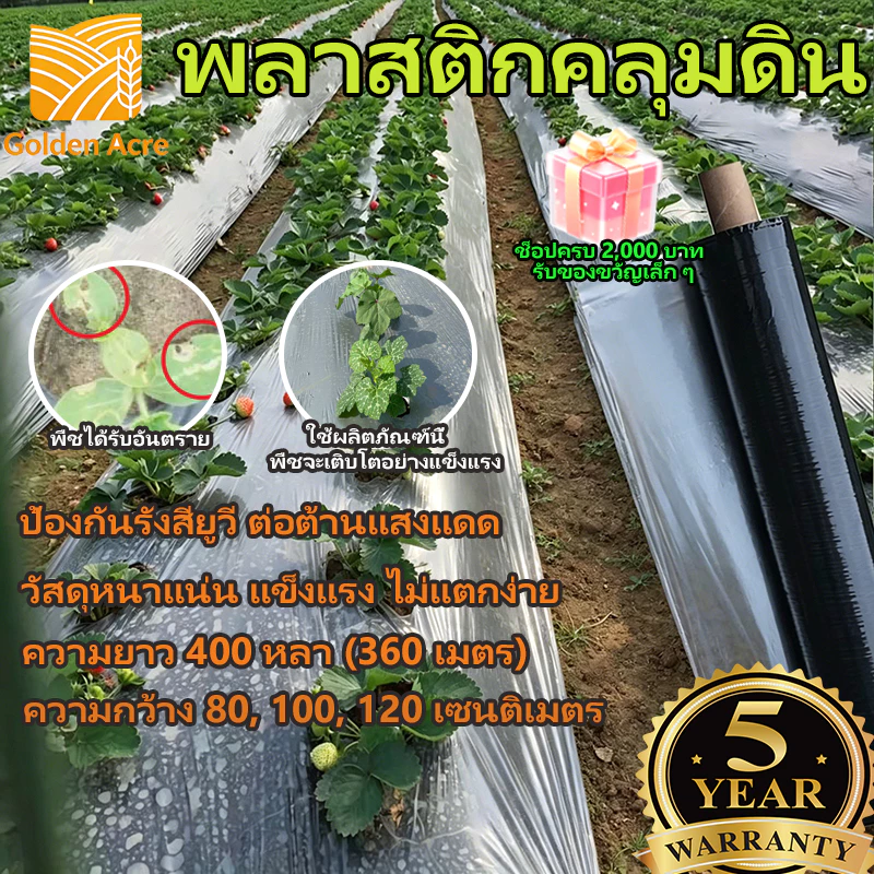 พลาสติกคลุมดิน ผสมUV พลาสติกดำเงิน กันวัชพืช สำหรับปลูกผักและผลไม้ COD จ่ายปลายทาง ขนาด 0.8ม. x 400หลา (360ม.)