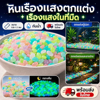 [WEIYI] 100 ชิ้น ก้อนกรวดเรืองแสง หลากหลายสี สำหรับตกแต่งสวนและตู้ปลา DIY มี 10 สี ให้เลือก