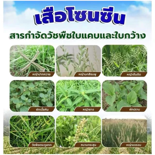 เสือโซนซีนขนาด1กก.สารมีโซไตรโอน+อะทราซีนคุมฆ่xวัชพืชในไร่อ้อยและไร่ข้าวโพด
