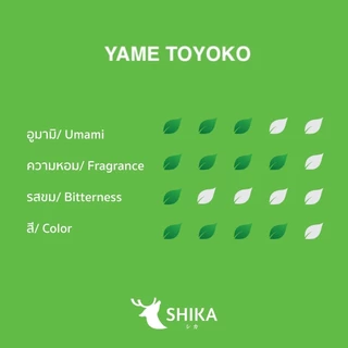 SHIKA MATCHA | YAME TOYOKO CEREMONIAL MATCHA ยาเมะ โทโยโกะ เกรดพิธีการ มัทฉะ 🌱 ผงมัทฉะแท้ 100%