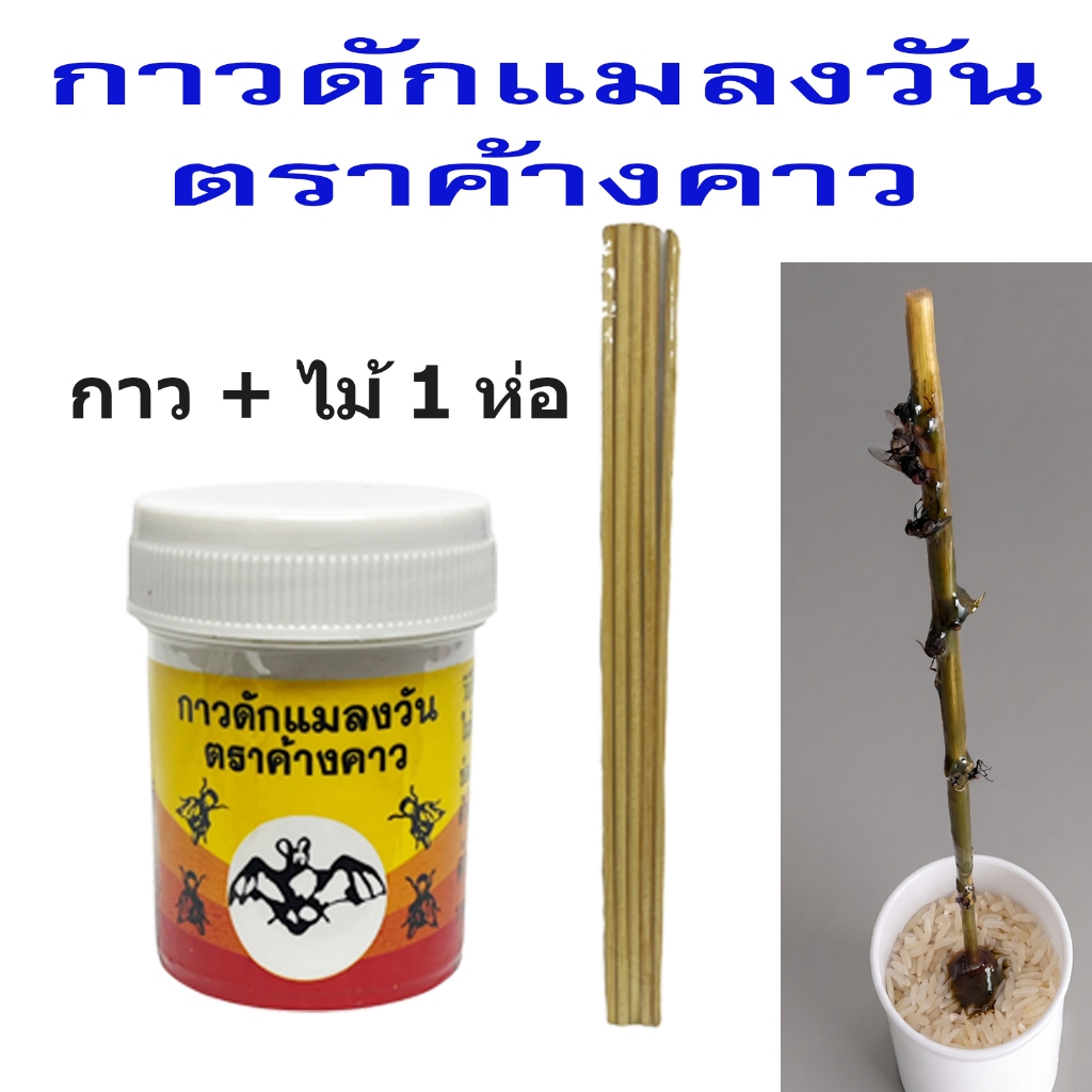 กาวดักแมลงวัน ตราค้างคาว ฟรีไม้1ห่อ กาวจับแมลง ดักแมลง ผสมฮอร์โมน ล่อแมลง แมลงหวี่ MUSCALURE