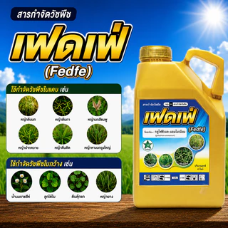 ยกลัง 6 แกลลอน เฟดเฟ่ ขนาด 4 ลิตร