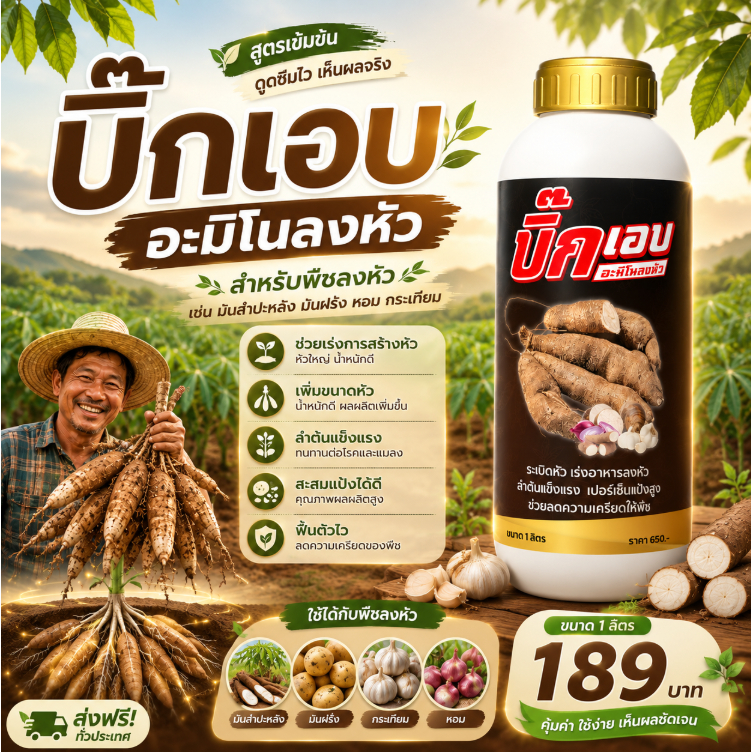 อะมิโนลงหัว ตัวช่วยสำหรับพืชลงหัว ช่วยเร่งการสร้างหัว เพิ่มขนาดหัว สะสมอาหารลงหัวได้ดี บิ๊กเอบ 1ลิตร