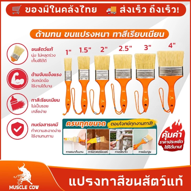 MUSCLE COW (ยกกล่อง 12 ชิ้น) แปรงทาวานิช แปรง แปรงบาร์บีคิว แปรงทายูรีเทน แปรงขนอ่อน ขนาด 1 / 1.5 / 2 / 2.5 / 3 / 4 นิ้ว