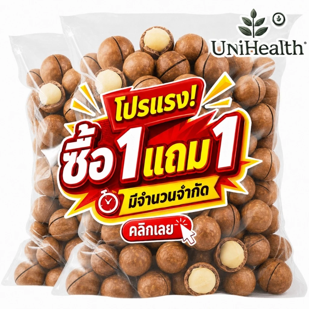 [โปร 1 แถม 1] แมคคาเดเมียอบ 500 กรัม | Roasted Macadamia Nuts | เม็ดใหญ่ มัน หอม กรอบ | ถั่วพรีเมียม