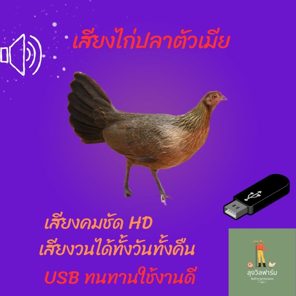 เสียงไก่ป่าตัวเมีย,เสียงวนไดทั้งวันทั้งคืน ใน Flash Drive