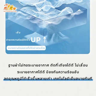 ที่นอนเย็น 3/4/5/6ฟุต เสื่อเย็น ระบายอากาศได้ดี เย็นสบาย ดีไซน์สายรัด ไม่ขยับ กันแบคทีเรียและไรฝุ ฟรีปลอกหมอน