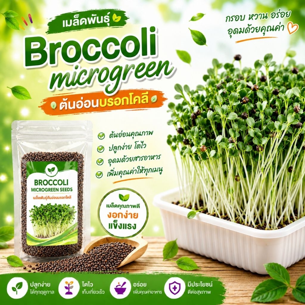 เมล็ดพันธุ์ต้นอ่อนบรอกโคลี (Broccoli Microgreen Seeds)ปลูกง่าย งอกไว เหมาะสำหรับเพาะเป็นไมโครกรีนรับ