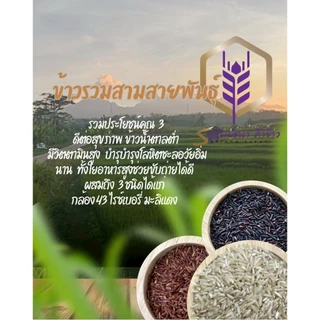 ข้าวรวมสามสายพันธุ์ ตราทรัพย์ธนา แพคสุญญากาศ6กิโลกรัม