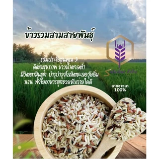 ข้าวรวมสามสายพันธุ์ แพคสุญญากาศ1 กิโลกรัม อร่อย นุ่ม