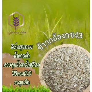 ข้าวกล้องกข43 กระสอบ5กิโลกรัม หอม อร่อย ตราทรัพย์ธนา