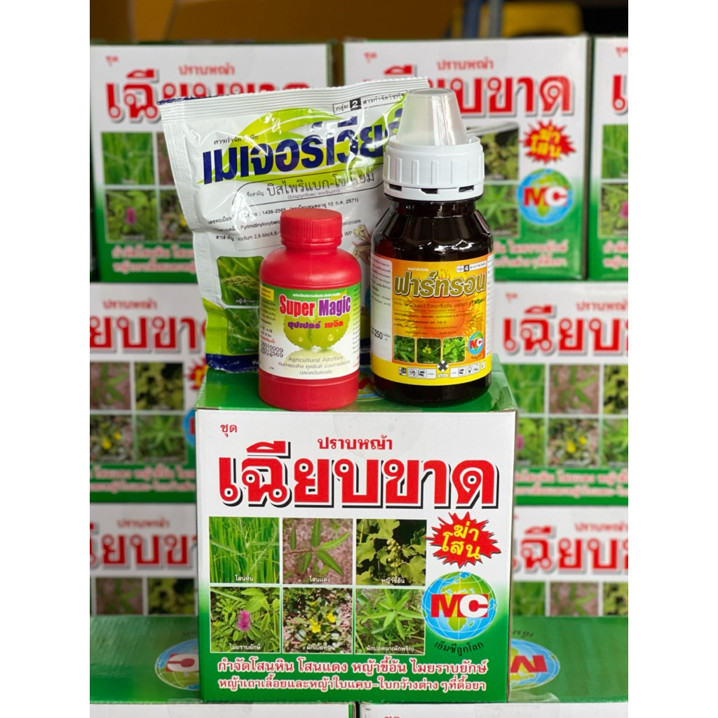 เฉียบขาด ชุดฆ่าหญ้าในนาข้าว เก็บหญ้าในนาข้าว กำจัดได้ทั้งใบแคบ ใบกว้าง กก เครือทุกชนิด