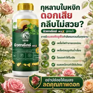 บิวทาเร็กซ์ MAX สูตรน้ำ ตราไดโนเร็กซ์ สำหรับกุหลาบและไม้ดอก ชีวภัณฑ์ป้องกันและกำจัดแมลง เพลี้ยไฟ เพลี้ยอ่อน ไรแดง แมลงหว