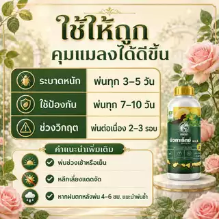 บิวทาเร็กซ์ MAX สูตรน้ำ ตราไดโนเร็กซ์ สำหรับกุหลาบและไม้ดอก ชีวภัณฑ์ป้องกันและกำจัดแมลง เพลี้ยไฟ เพลี้ยอ่อน ไรแดง แมลงหว
