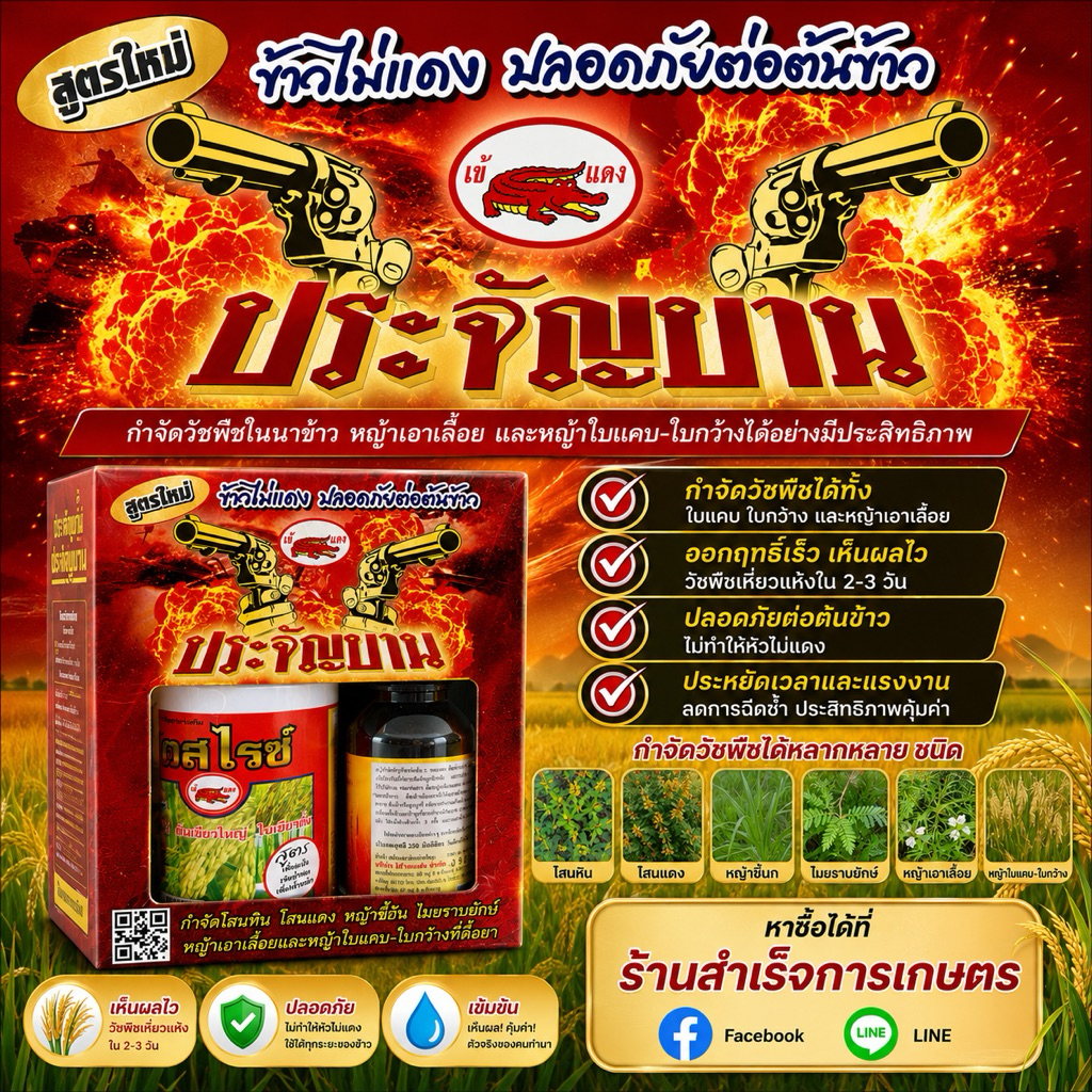 ชุดประจัญบาน สารกำจัดวัชพืช หญ้าในนาข้าว 1ชุด