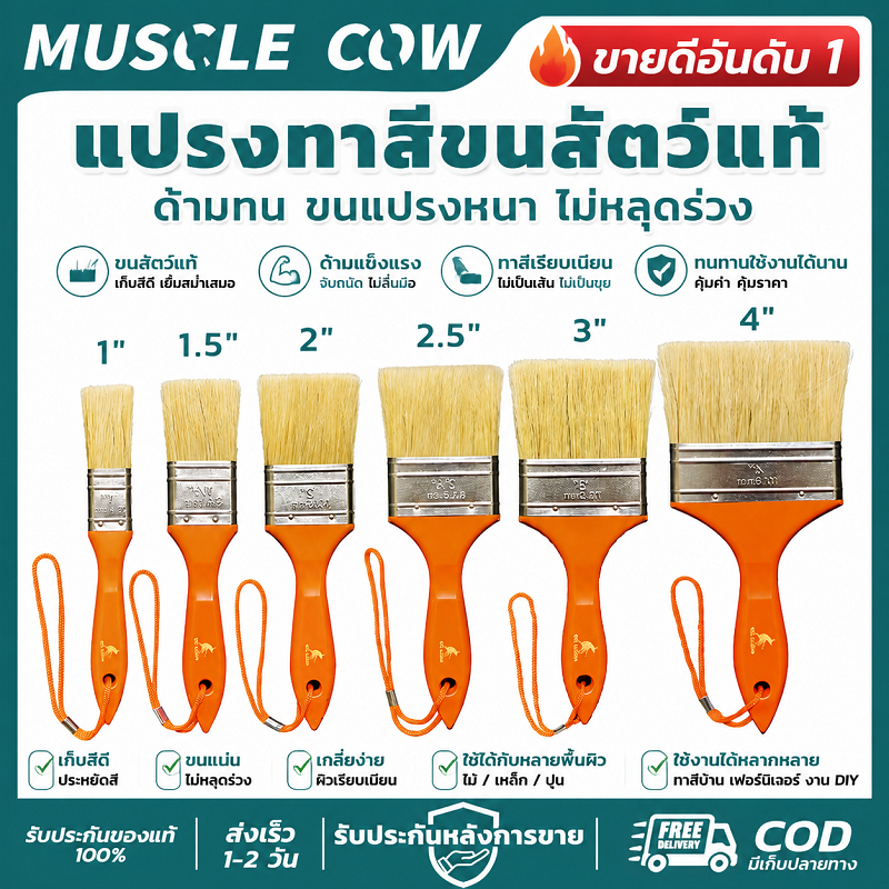 MUSCLE COW แปรงทาสีขนสัตว์แท้ 1-4" ด้ามทน ขนแปรงหนา ทาสีเรียบ ทนทาน สำหรับงานทาสี ตกแต่ง