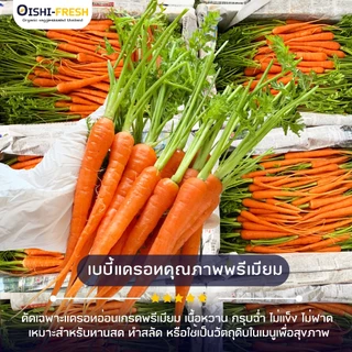 🛒Oishi-Fresh🥕เบบี้แครอท 3 สี ปลอดสารพิษ 1 กก. รสชาติกรอบ สด ใหม่ ใยอาหารสูง หวานออร์แกนิค ผัก เคลมได้ 1-2 วัน