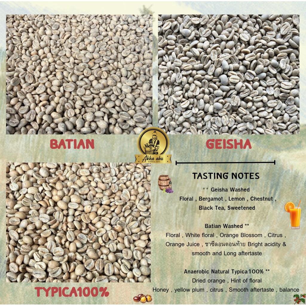 AKHA ABU : Batian / Geisha / Typica100% กาแฟพิเศษ (แม่จันใต้)