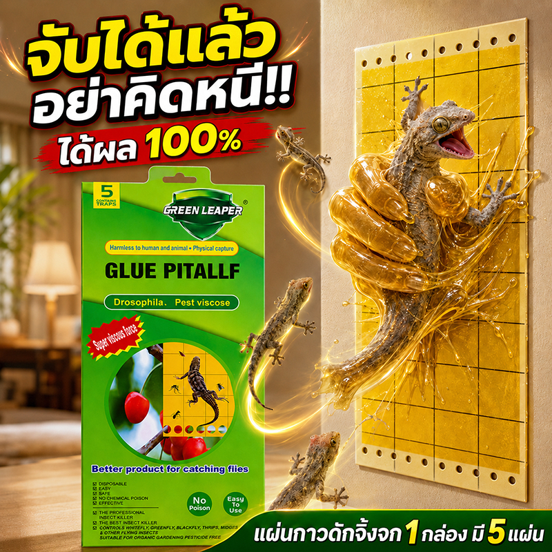 🦎 หนีไม่รอด‼️กาวดักจิ้งจก กำจัดจิ้งจก 5 แผ่น/กล่อง ที่ดักจิ้งจก แผ่นสีทองล่อจิ้งจก หมดกังวลเรื่องจิ้งจกในบ้าน