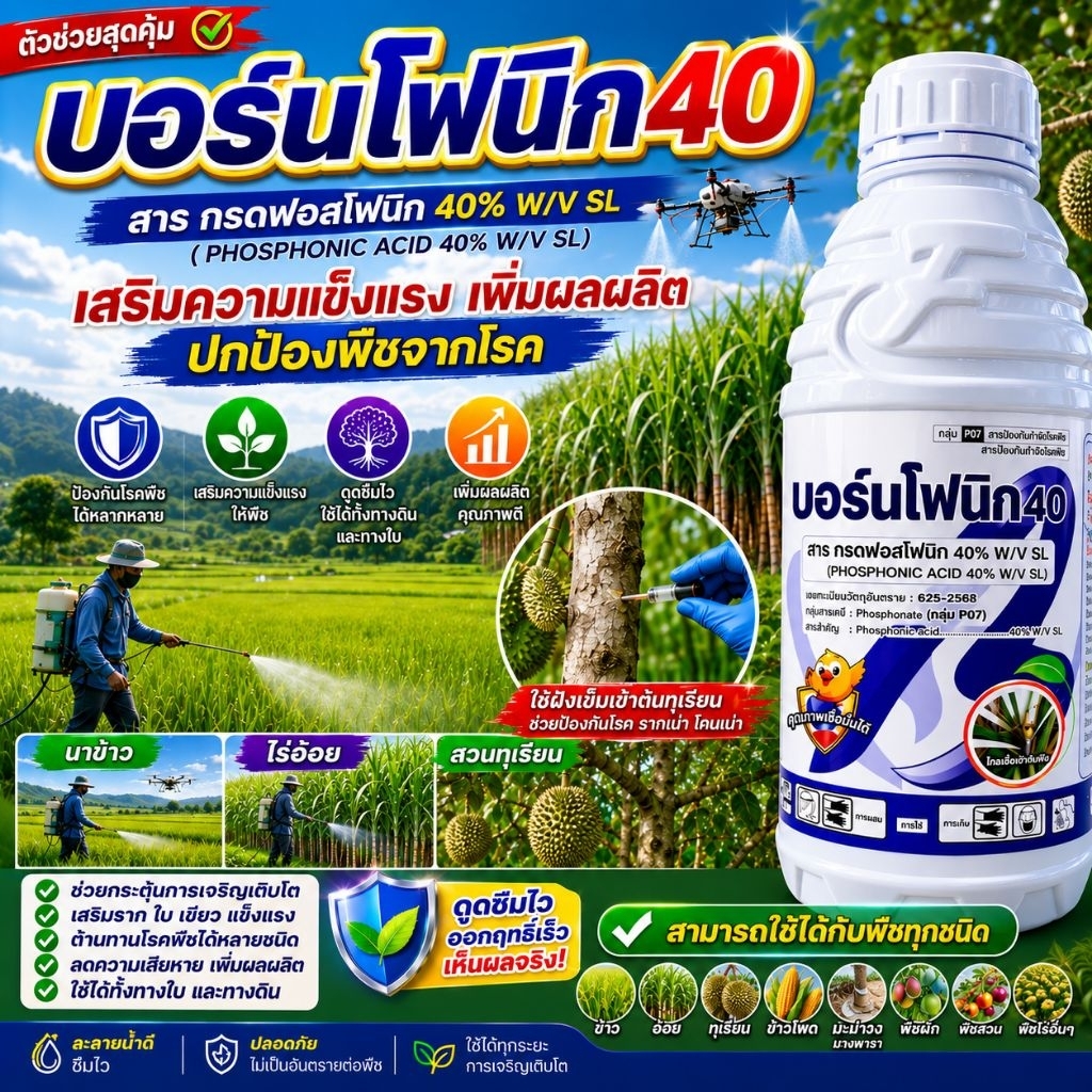 บอร์นโฟนิก40 ขนาด 1 ลิตร กรดฟอสโฟนิก 40% W/V SL ตัวช่วยเสริมความแข็งแรงของพืช ดูดซึมไว