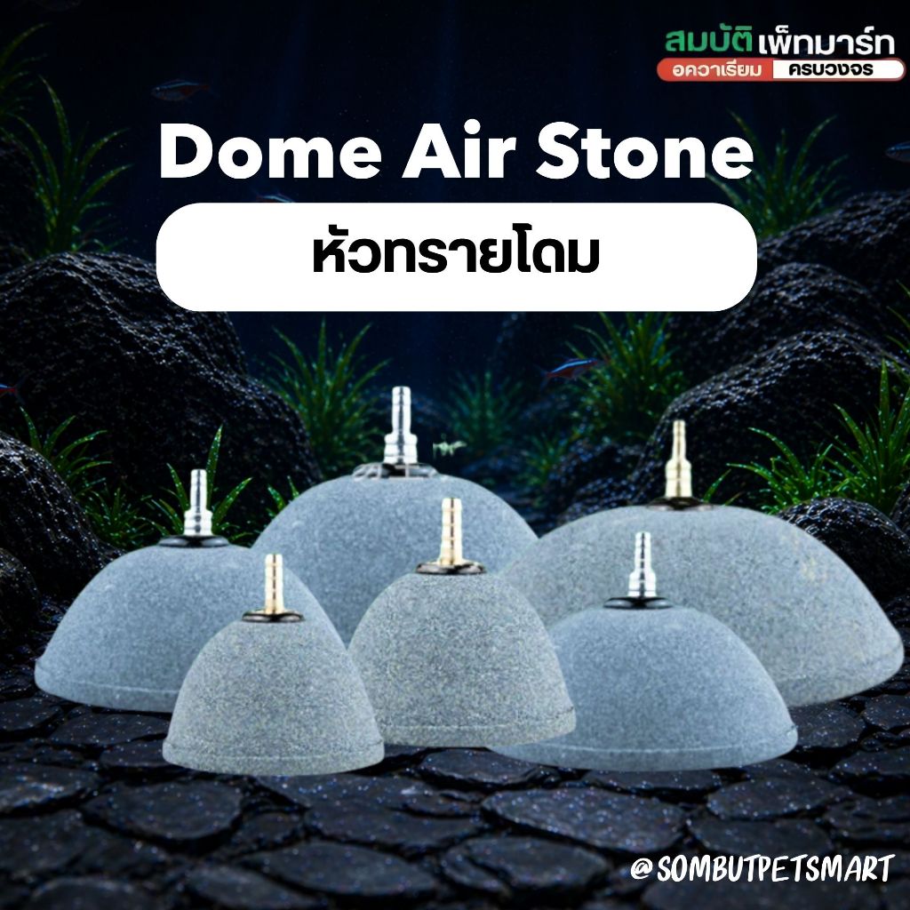 หัวทรายโดม ฟองละเอียด Dome Air Stone เพิ่มออกซิเจน กระจายฟองรอบตัว สำหรับตู้ปลา บ่อปลา ขนาด 6–12 ซม.
