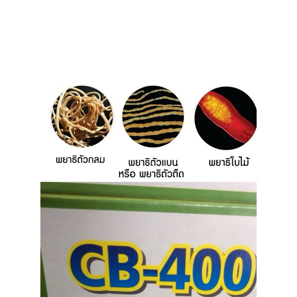 ( คลิกเพื่อสั่งซื้อ ) อาหารเสริม CB 400 (1 SET 3 เม็ด)