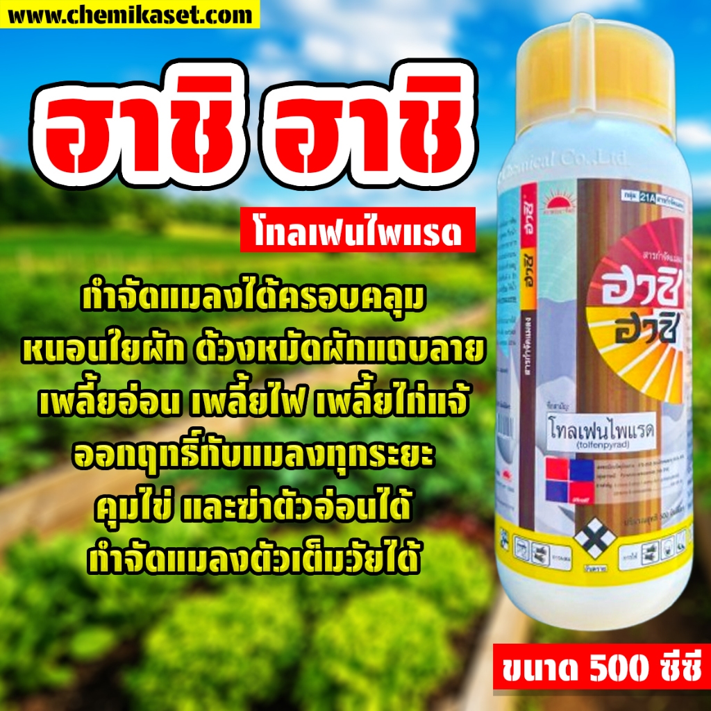 ฮาชิ ฮาชิ ขนาด 500 ซีซี โทลเฟนไพแรด กำจัดหนอนใยผัก ด้วงหมัด เพลี้ยไก่แจ้ เพลี้ยไฟ