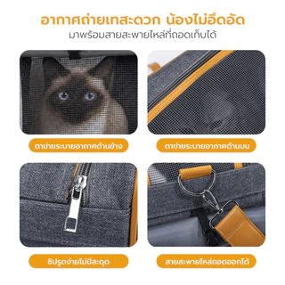 กระเป๋าเดินทางสัตว์เลี้ยง Petus pet carrier bag กระเป๋าใส่แมว กระเป๋าสุนัข ระบายอากาศดี ไม่อึดอัด กันน้ำ วัสดุพรีเมียม