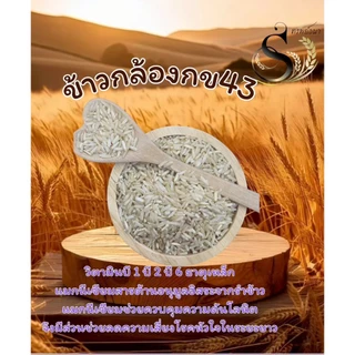 ข้าวกล้องกข43 ตราทรัพย์ธนา ยกกระสอบ5กิโลกรัม