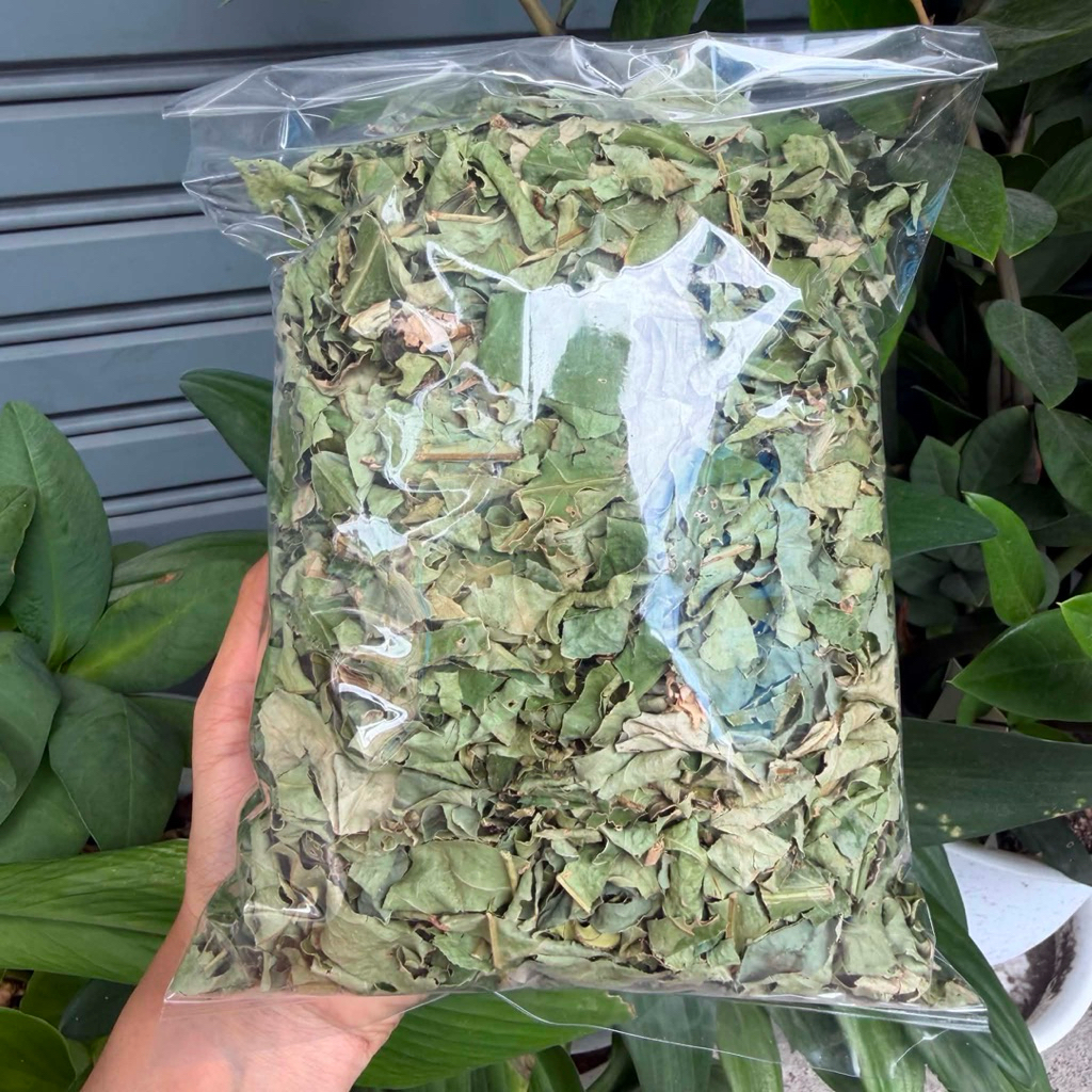 ใบเปล้า ใบเปล้าแห้ง ขนาด 500-1000 กรัม หอมใหม่ ปลอดสาร ตามธรรมชาติ พร้อมส่ง