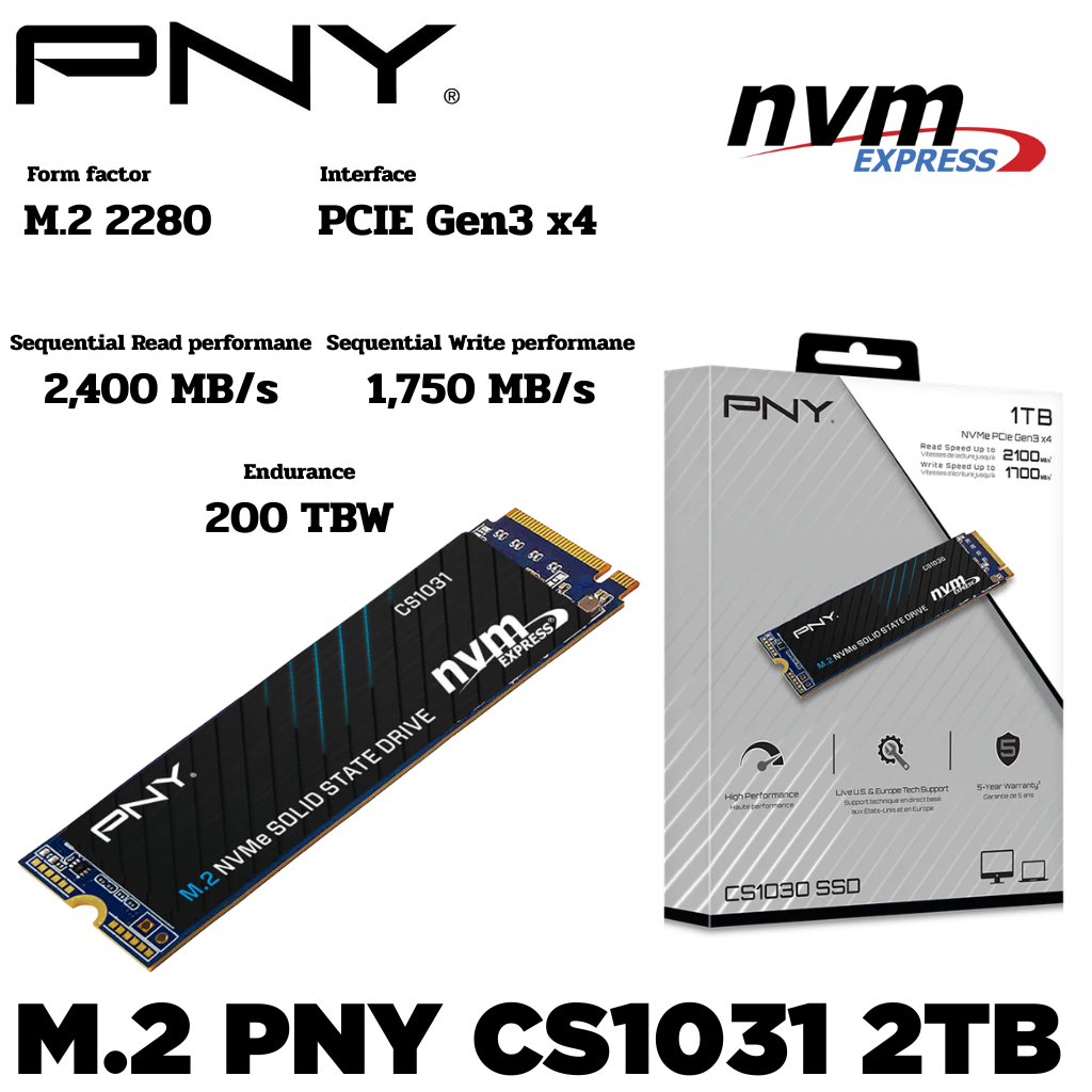 M.2 2TB SSD (เอสเอสดี) PNY CS1031 Gen3x4 - PCIe 4x4/NVMe