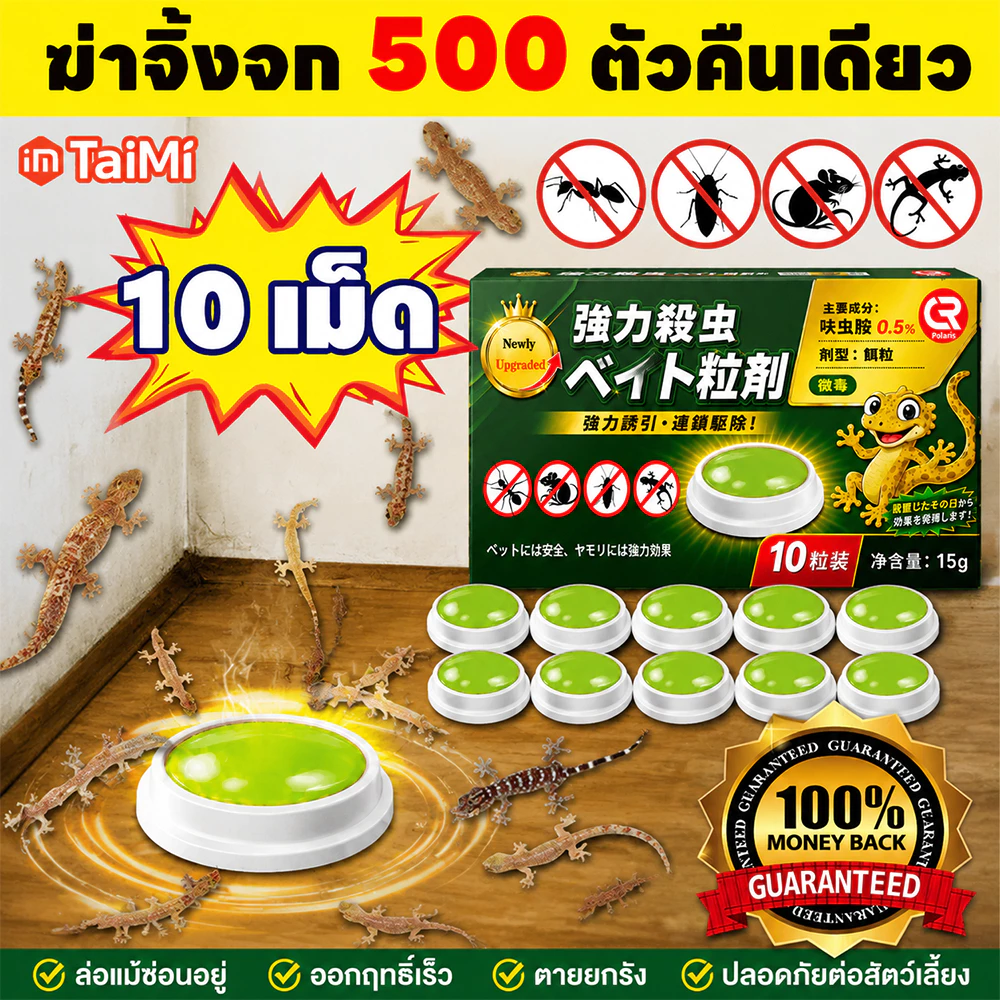 🦎เจลกำจัดจิ้งจก 10 ชิ้น/กล่อง เหยื่อกำจัดจิ้งจก ไล่ตุ๊กแก เห็นผลไว วางง่าย ใช้ในบ้าน ห้องครัว ห้องน้ำ