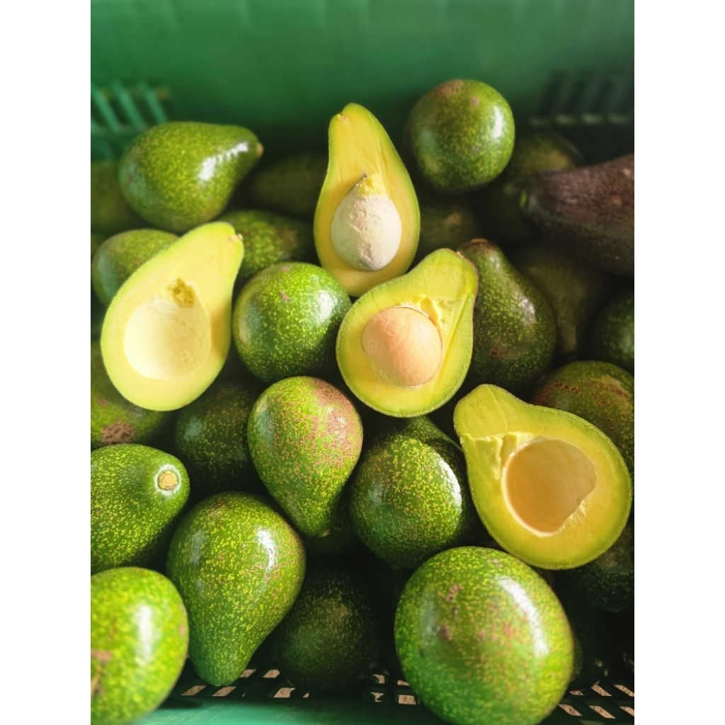 🥑อาโวคาโด**กล่องละ 109 บาท**  น้ำหนักกล่องละ5กิโลกรัม พันธุ์พื้นเมืองเล็ก รสชาติเหนียวมันเนยหนึบ❤️❤️