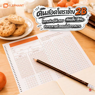 Elephant ดินสอ ดินสอดำ ดินสอ 2b จำนวน 12 แท่ง