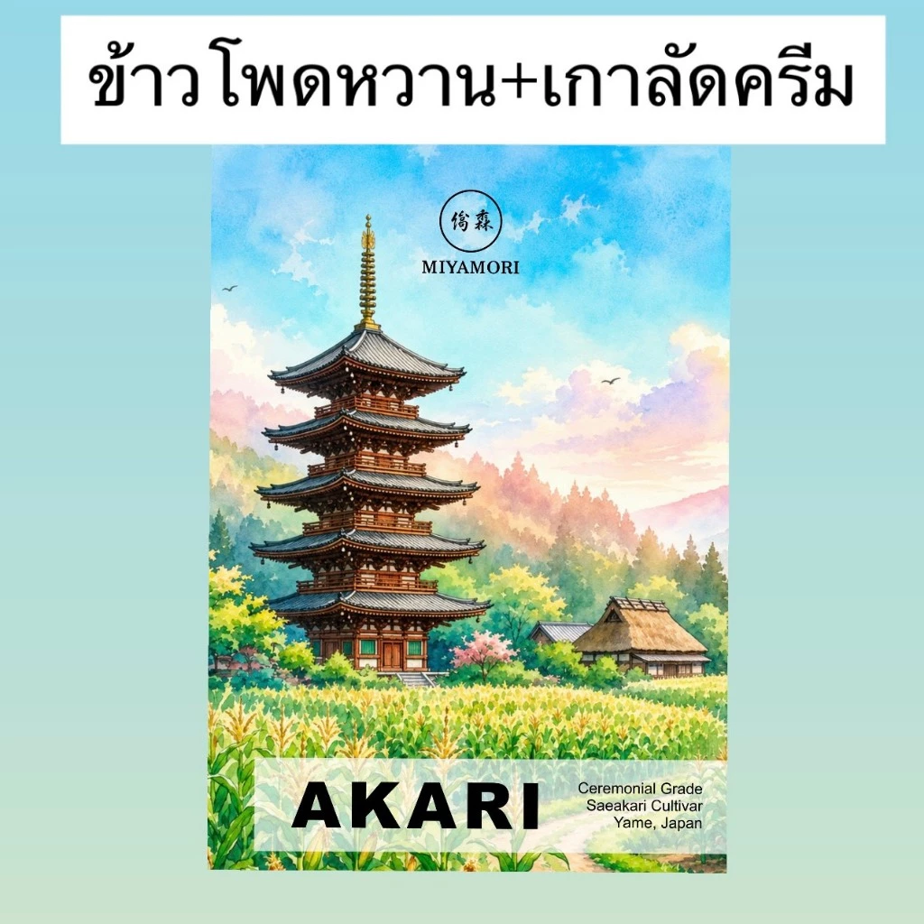 AKARI มัทฉะ สายพันธุ์เดี่ยว โทนถั่ว จากญี่ปุ่น‼️ FUKUO Single Cultivar Yame Matcha เกรดพิธีการ