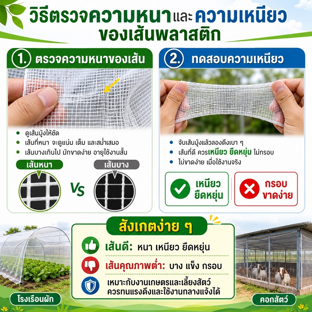 ผักกางมุ้ง มุ้งไนล่อน มุ้งขาว มุ้งกรงไก่ มุ้งกันแมลง รูปที่ 4