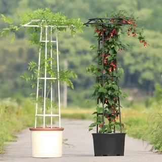 ซุ้มกุหลาบ ซุ้มไม้เลื้อยทรงร่ม ชั้นวางดอกไม้ โครงเหล็กดัด ท่อเหล็กเคลือบ PE กันสนิม ทนแดดทนฝน ประกอบง่ายใน 5 นาที ตกแต่ง