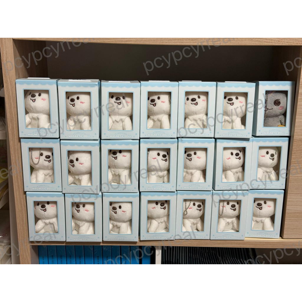 พร้อมส่ง RIIZE MAGNET DOLL (เก็บโค้ดลด 30% ที่หน้าแรก)