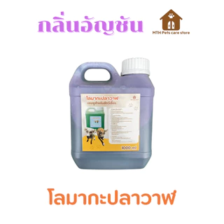 แชมพูอาบน้ำสัตว์เลี้ยงโลมากะปลาวาฬ หอมนาน อาบสะอาด ลดอาการคัน ปลอดภัยสำหรับสัตว์เลี้ยง แบบแกลอน ขนาด 1000 ML