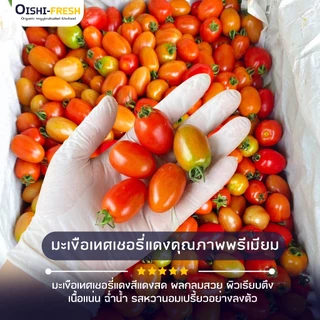 🛒Oishi-Fresh🍅มะเขือเทศเชอรี่ ปลอดสารพิษ 1 กก. รสชาติกรอบ สด ใหม่ ใยอาหารสูง หวานออร์แกนิค เคลมได้ 1-2 วัน