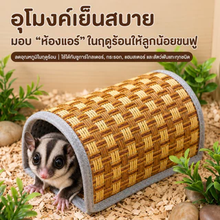 บ้านหลบซ่อนสัตว์เล็ก เสื่อเย็นหวายธรรมชาติ สำหรับหนูแฮมสเตอร์ ชูก้าไกลเดอร์ เม่นแคระ ระบายอากาศ ขนาด S/M