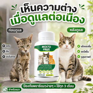 MOLTO PAWS ถ่ายพยาธิแมว ครบทุกชนิด ลูกแมว แมวโต ทุกสายพันธุ์ กินง่าย ทุก 3 เดือน ปลอดภัย 10 เม็ด