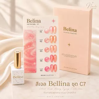 รวมสีเจลยกชุด 5 สี Belina 10 แบบ พร้อมชาร์ตสำเร็จรูป