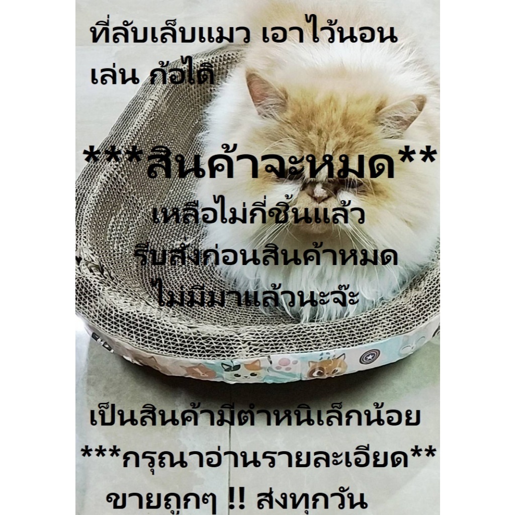 ที่ลับเล็บแมว เป็นที่นอนแมวไปในตัว *** สินค้ามีตำหนิเล็กน้อย กรุณาอ่านรายละเอียด ขายถูก***