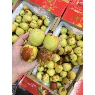 สายพรีเมี่ยม ห้ามพลาด พุทราช็อกโกแลต ตู้แรกของปีนี้ อร่อย หวาน กรอบ กินเพลินมาก ไซส์คิง (King)