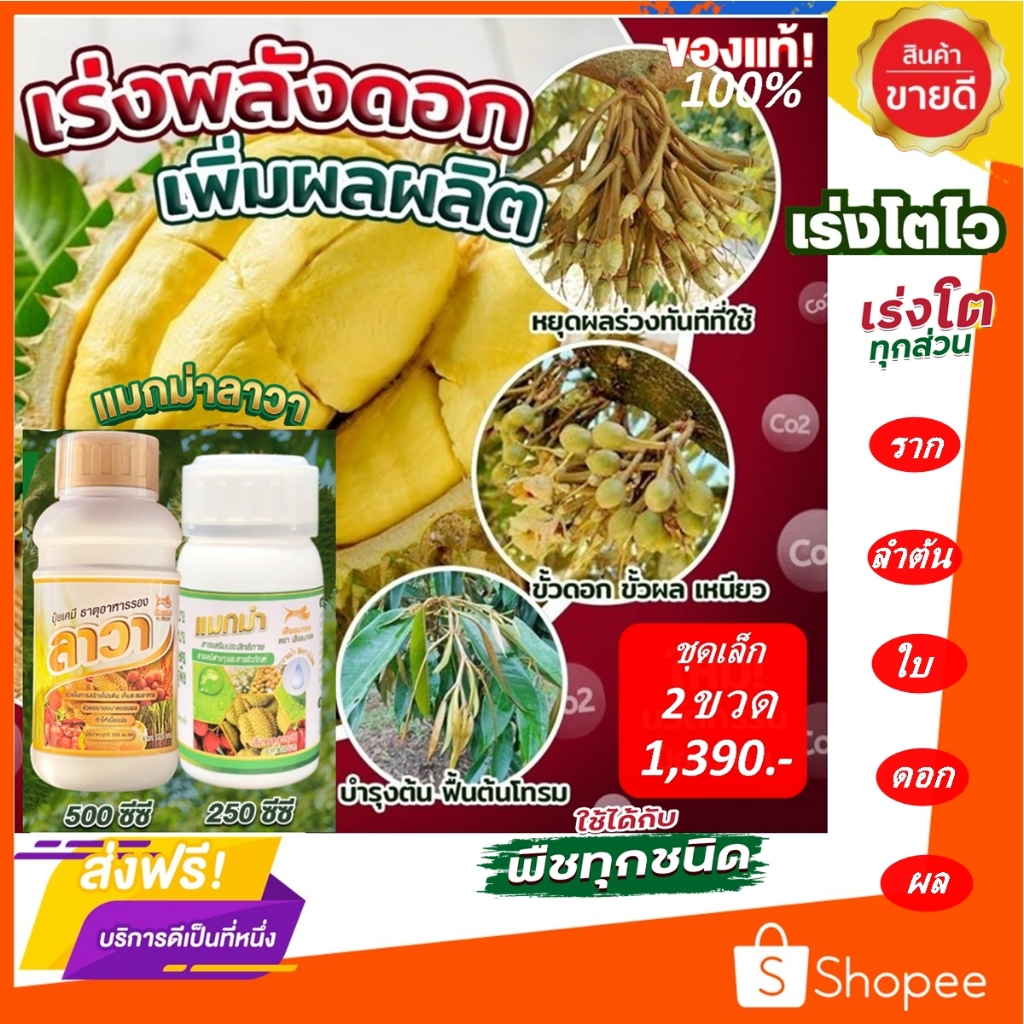 แมกม่าลาวา 2 ขวด (ชุดบำรุงดอก-ผล)แมกม่า250ซีซี.&ลาวา500ซีซี.เป็นชุดบำรุงดอกออกผลสมบูรณ์ช่วยเร่งการเจริญเติบโตทุกส่วน.