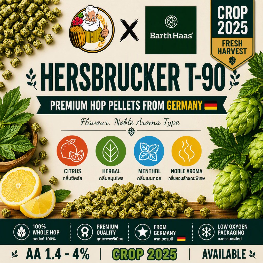 Hersbrucker (GR) PELLET HOPS (T90) Crop 2025 Beer Hops Hops เบียร์ ฮอปส์ทำเบียร์ฮอปส์ Hersbrucker ฮอปส์ฮอป T90 ฮอปส์ฮอปส