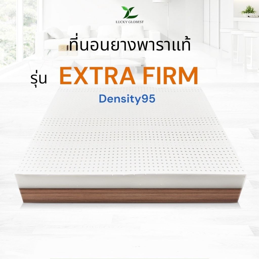 Lucky Globest รุ่น EXTRA FIRM (Density95)ปลอก2ชั้นติดซิป✅️แถมฟรีหมอน