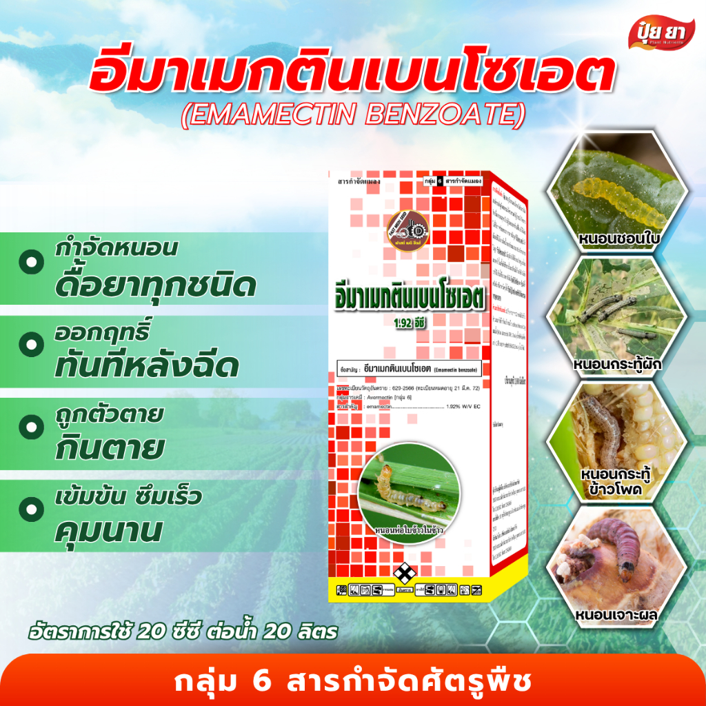อีมาเมกตินเบนโซเอต ทะเบียนใหม่ ป้องกันกำจัดหนอน หนอนกระทู้ข้าวโพด หนอนเจาะผลทุเรียน เพลี้ยไฟ แมลง(1 ลิตร)