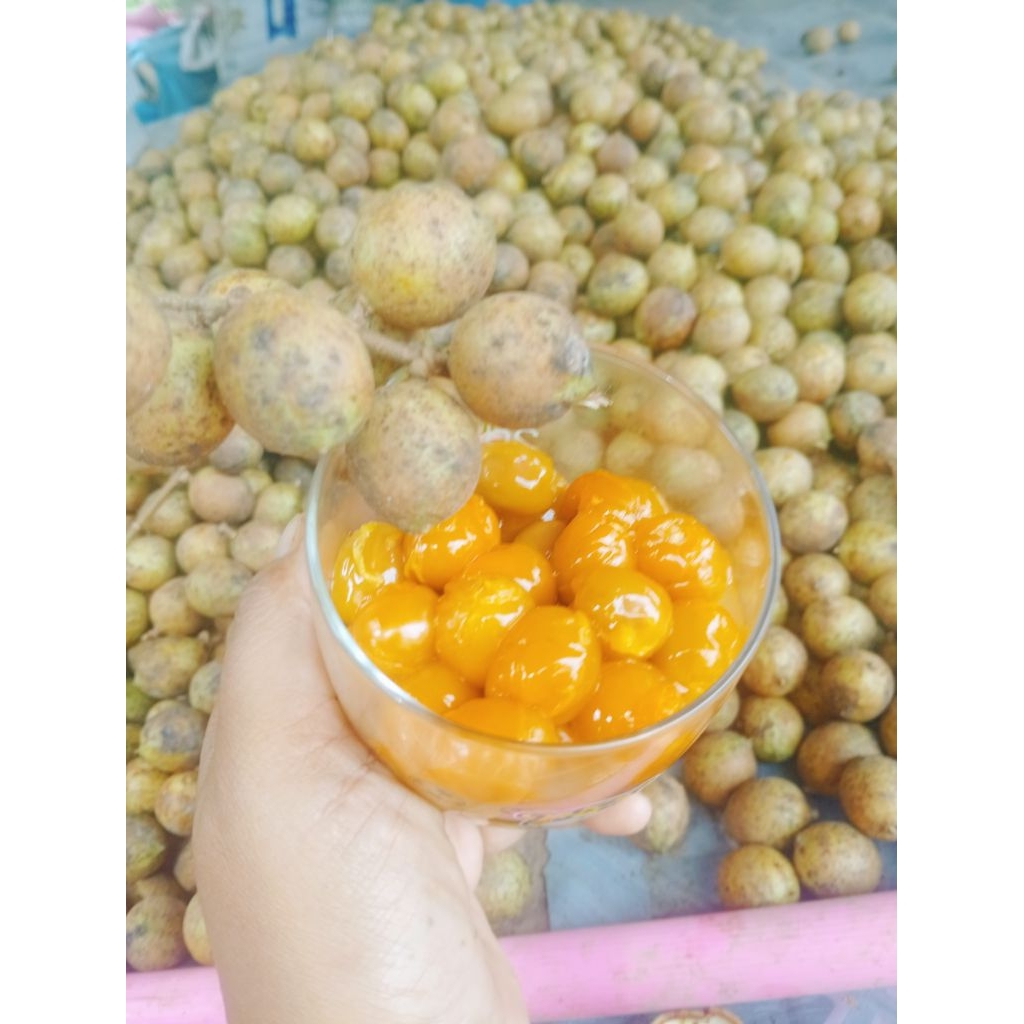 โล20 บาท บรรจุ 10 กก บักค้อ ตะคร้อ หมากค้อ ค้อส้ม อาหารตามฤดูกาล
